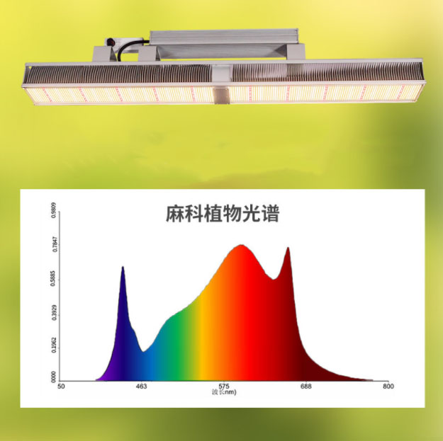 细节13.jpg